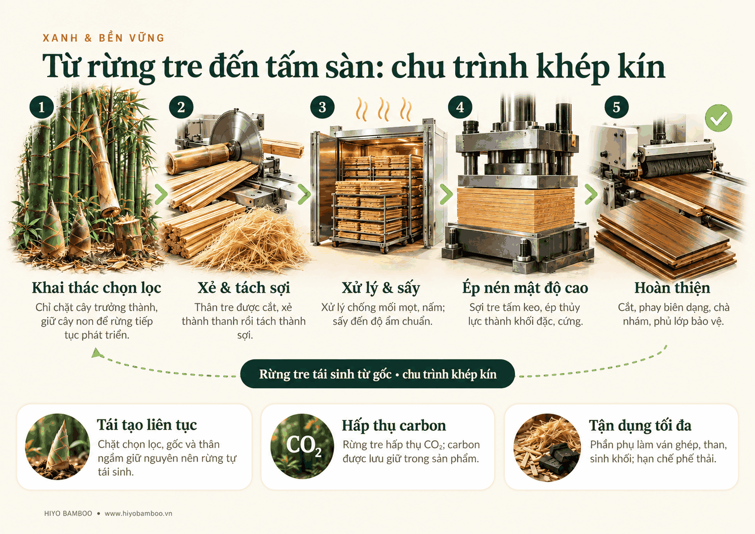 Infographic 5 bước chế biến: khai thác chọn lọc, xẻ và tách sợi, xử lý và sấy, ép nén mật độ cao, hoàn thiện